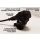 Bordsteckdose + Doppel USB-Adapter, wasserdicht, Kabel: 1250mm, (P12USBDUAL), 289309