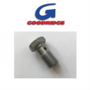 Hohlschraube M10 x 1,25, Goodridge 992-03-32Z, 295083
