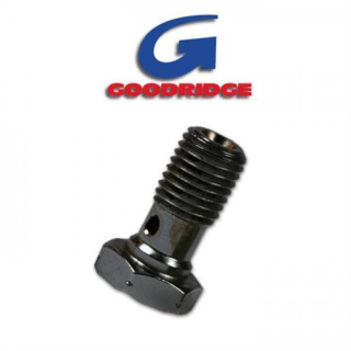 Hohlschraube M10 x 1,25, Chrom Goodridge 992-03-32CH, 295085