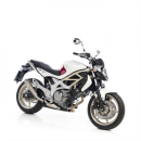 Auspuff SBK GPstyle FV650Gladius 09ev LeoVince SBK Slip...