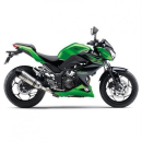 Auspuff LeoVince SBK LV ONE II NINJA EX250 300R Z250 300...