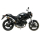 Auspuff MIVV GP CARBON 2 SLIP ON e SPORT DUCATI MONSTER 695 06 AD.019.L2S