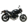Auspuff MIVV OVAL CARBON 2 SLIP ON e SPORT DUCATI MONSTER 695 06 AD.019.L3
