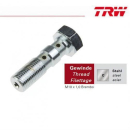 TRW,Doppelhohlschraube M10x1,0 Brembo / Chrom / Stahl,...