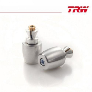 TRW,Lenkerenden Aluminium Classic Design, silber, *** für Lenker mit einem IØ=14 mm ***, MCL214-C