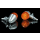 SHIN YO Blinker BULLET LIGHT 1, 202-923
