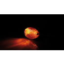 SHIN YO Mini-Blinker CATEYE, 203-431