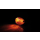 SHIN YO Mini-Blinker CATEYE, 203-431
