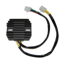 ElectroSport Laderegler ESR 160, 272-016