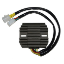 ElectroSport Laderegler ESR 180, 272-018