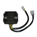ElectroSport Laderegler ESR 250, 272-025