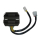 ElectroSport Laderegler ESR 250, 272-025