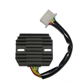 ElectroSport Laderegler ESR 290, 272-029