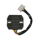 ElectroSport Laderegler ESR 290, 272-029