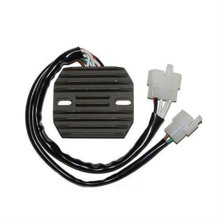 ElectroSport Laderegler ESR 350, 272-035
