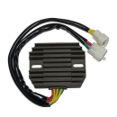 ElectroSport Laderegler ESR 530, 272-053