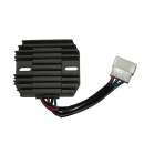 ElectroSport Laderegler ESR 550, 272-055