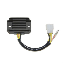 ElectroSport Laderegler ESR 600, 272-060