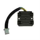 ElectroSport Laderegler ESR 670, 272-067