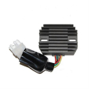 ElectroSport Laderegler ESR 684, 272-069
