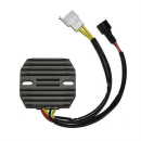 ElectroSport Laderegler ESR 105, 272-105