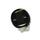 ElectroSport Laderegler ESR 120, 272-120
