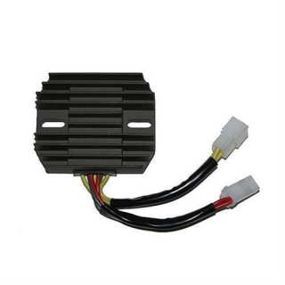 ElectroSport Laderegler ESR 123, 272-123