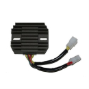 ElectroSport Laderegler ESR 123, 272-123