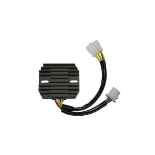 ElectroSport Laderegler ESR 210, 272-210