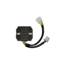 ElectroSport Laderegler ESR 210, 272-210