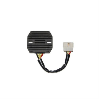 ElectroSport Laderegler ESR 261, 272-261
