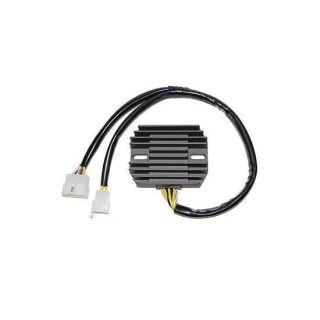 ElectroSport Laderegler ESR 310, 272-310
