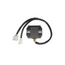 ElectroSport Laderegler ESR 310, 272-310