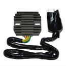 ElectroSport Laderegler ESR 431, 272-431