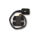 ElectroSport Laderegler ESR 438, 272-438