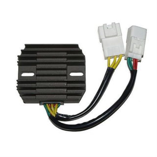 ElectroSport Laderegler ESR 439, 272-439