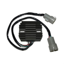 ElectroSport Laderegler ESR 442, 272-442