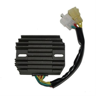 ElectroSport Laderegler ESR 537, 272-537