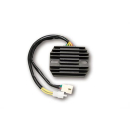 ElectroSport Laderegler ESR 539, 272-539