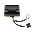 ElectroSport Laderegler ESR 549, 272-549