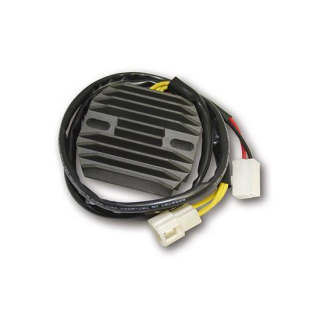 ElectroSport Laderegler ESR 560, 272-560