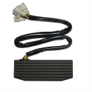ElectroSport Laderegler ESR 752, 272-752