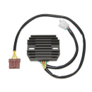 ElectroSport Laderegler ESR 916, 272-916