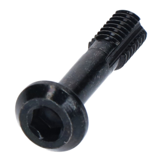 SHIMANO BREMSLEITUNGSSCHRAUBE BR-M8120 Y-2RV06000