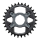 SHIMANO KETTENBLATT 30 ZÄHNE F. FC-M7100 CL: 52/56.5MM I-SMCRM75A0
