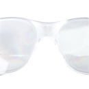 Schutzbrille STANDARD, DN5301