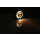 HIGHSIDER ROCKET LED Blinker/Positionslicht, 204-341