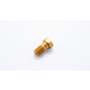 LSL Alu-Hohlschraube M10x1.00, gold, 220-301GO
