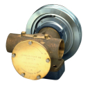 Johnson Impellerpumpe F8B-5001 10-13022-99