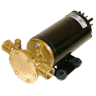 Johnson F4B-19 Impellerpumpe 12V 10-24689-01